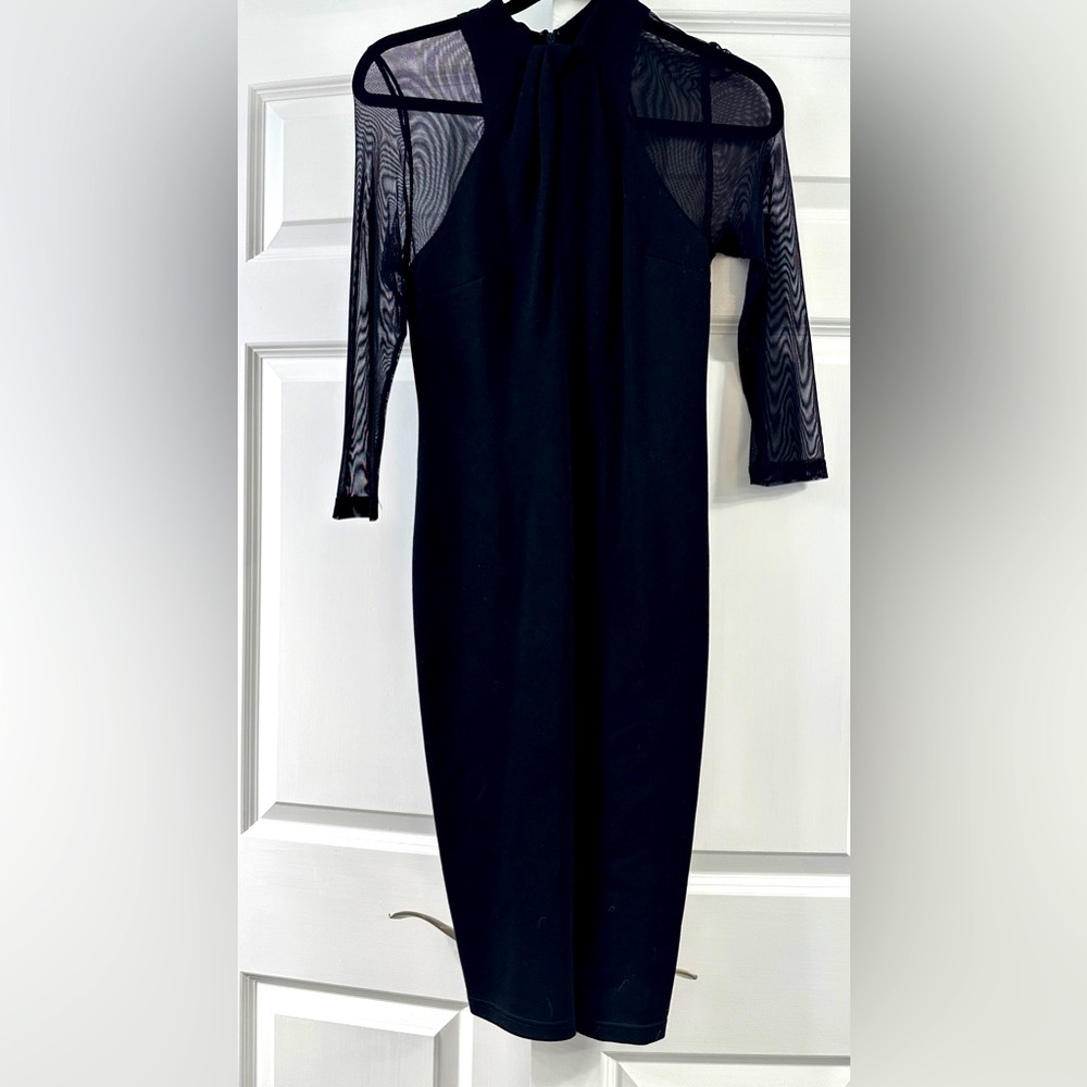 Sheer arm bodycon dress. Size 4